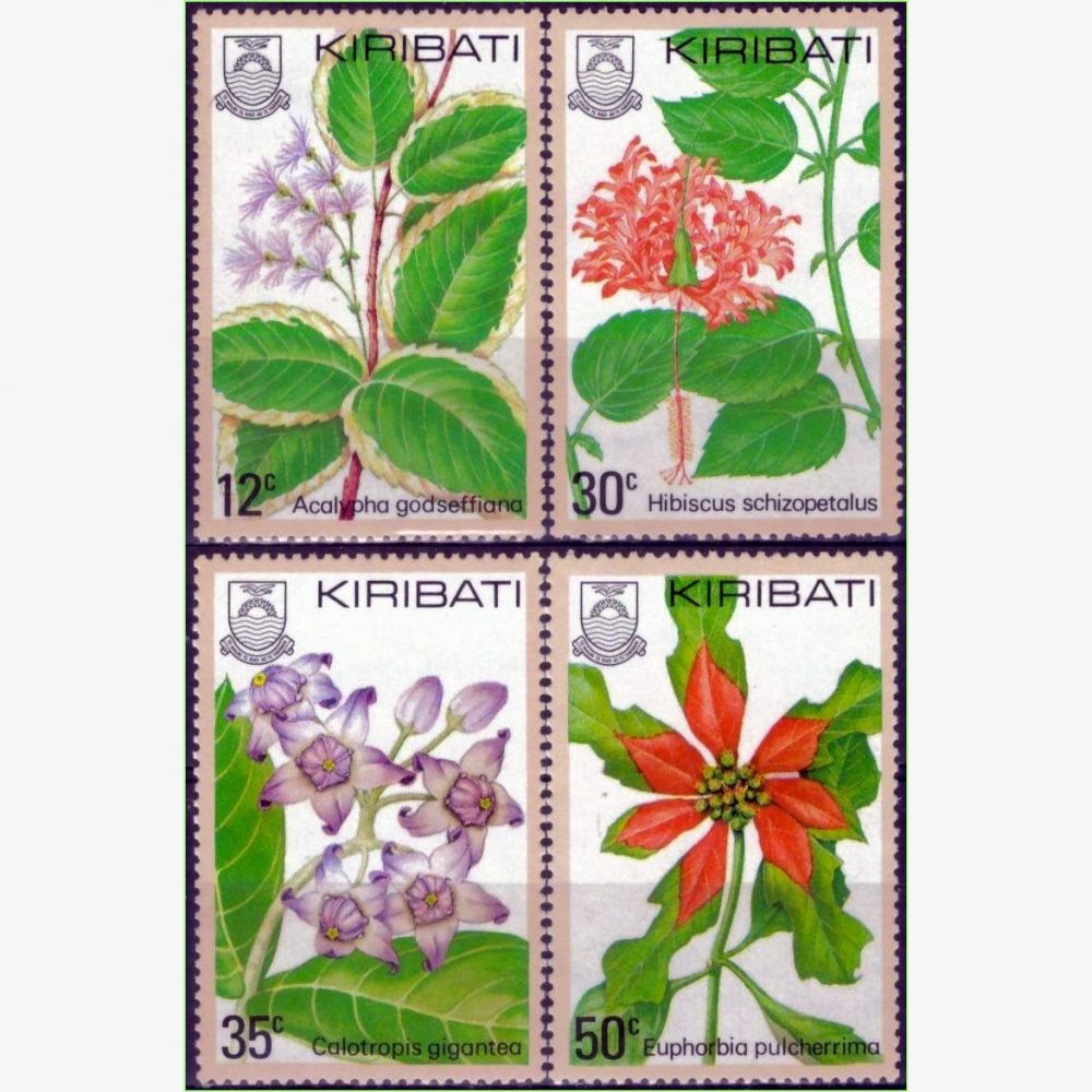 OC15868 | Kiribati - Flores