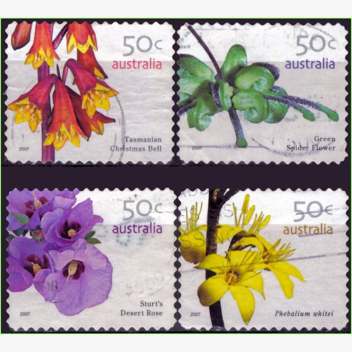 OC15887 | Austrália - Flores selvagens