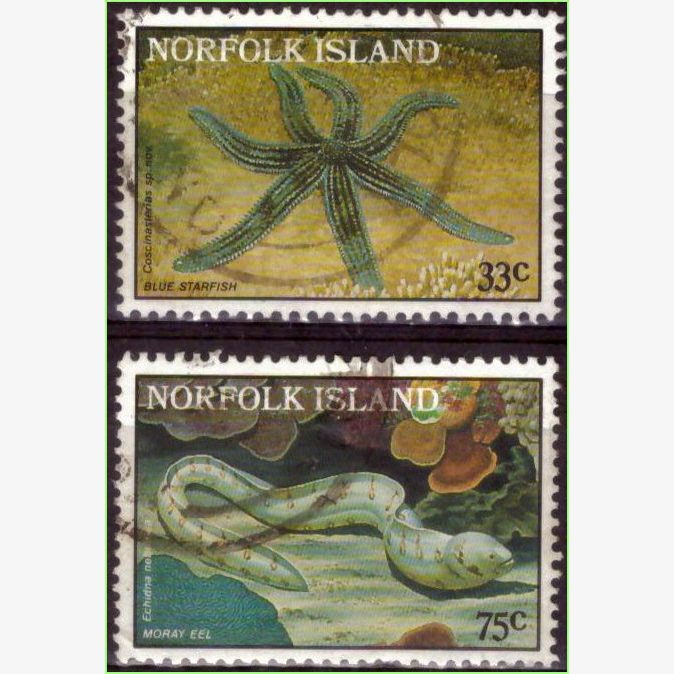 OC15888 | Ilha Norfolk - Vida marinha
