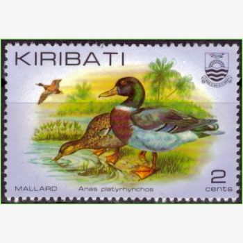 OC15896 | Kiribati - Aves