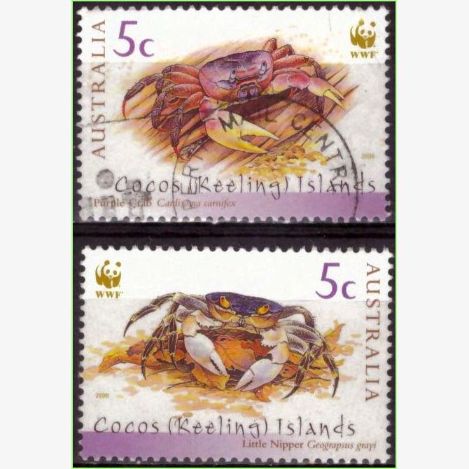 OC16157 | Ilhas Cocos - Caranguejos das ilhas