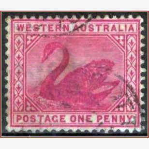 OC16769 | Austrália Ocidental - Cisne
