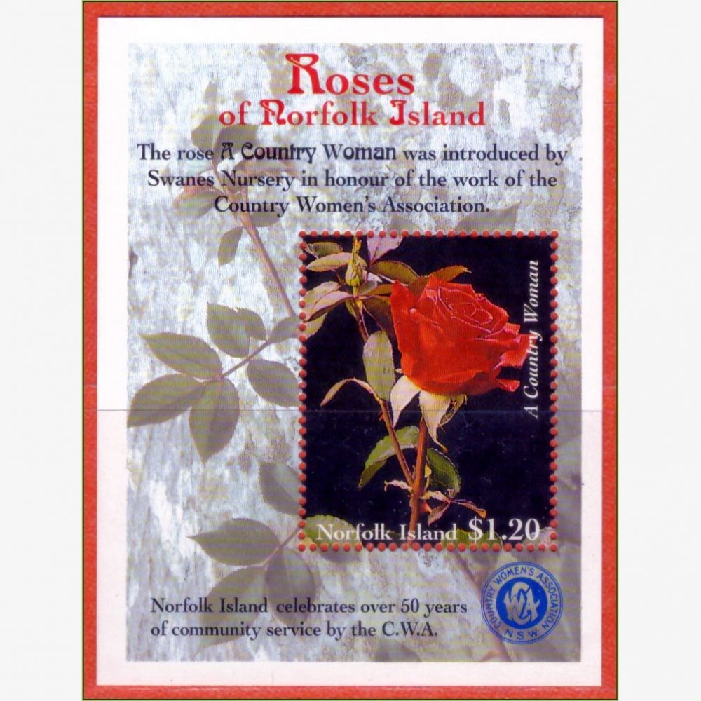 OC17728 | Ilha Norfolk - Rosa - Uma mulher do campo