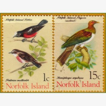OC18067 | Ilha Norfolk - Aves