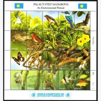OC8277 | Palau - Fauna de mangue e palafitas