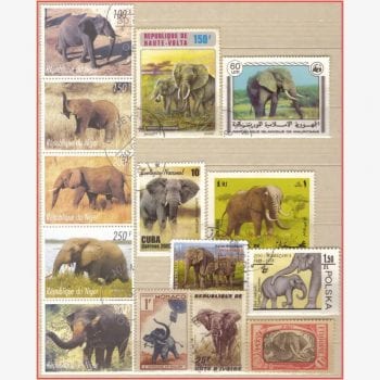 TM11566 | Elefantes - Acumulação