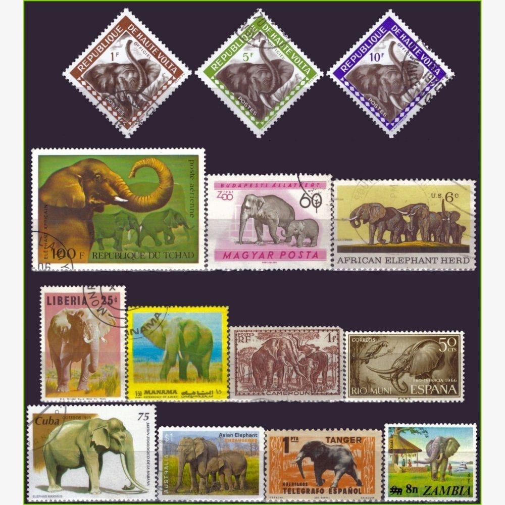 TM14264 | Elefantes - Acumulação